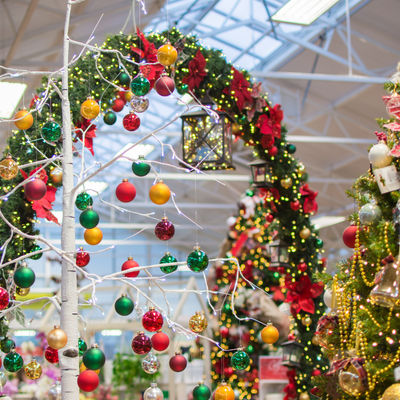 Christmas Grotto at The Reindeer Centre