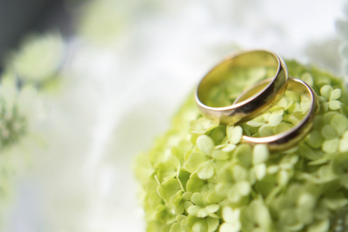 Licensed Civil Wedding Ceremony Venue Ashford